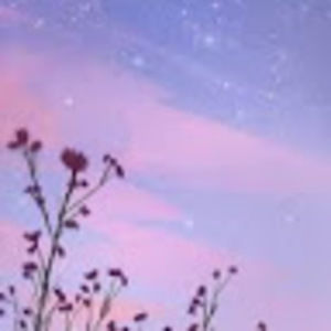 Meet your Posher, Alexa